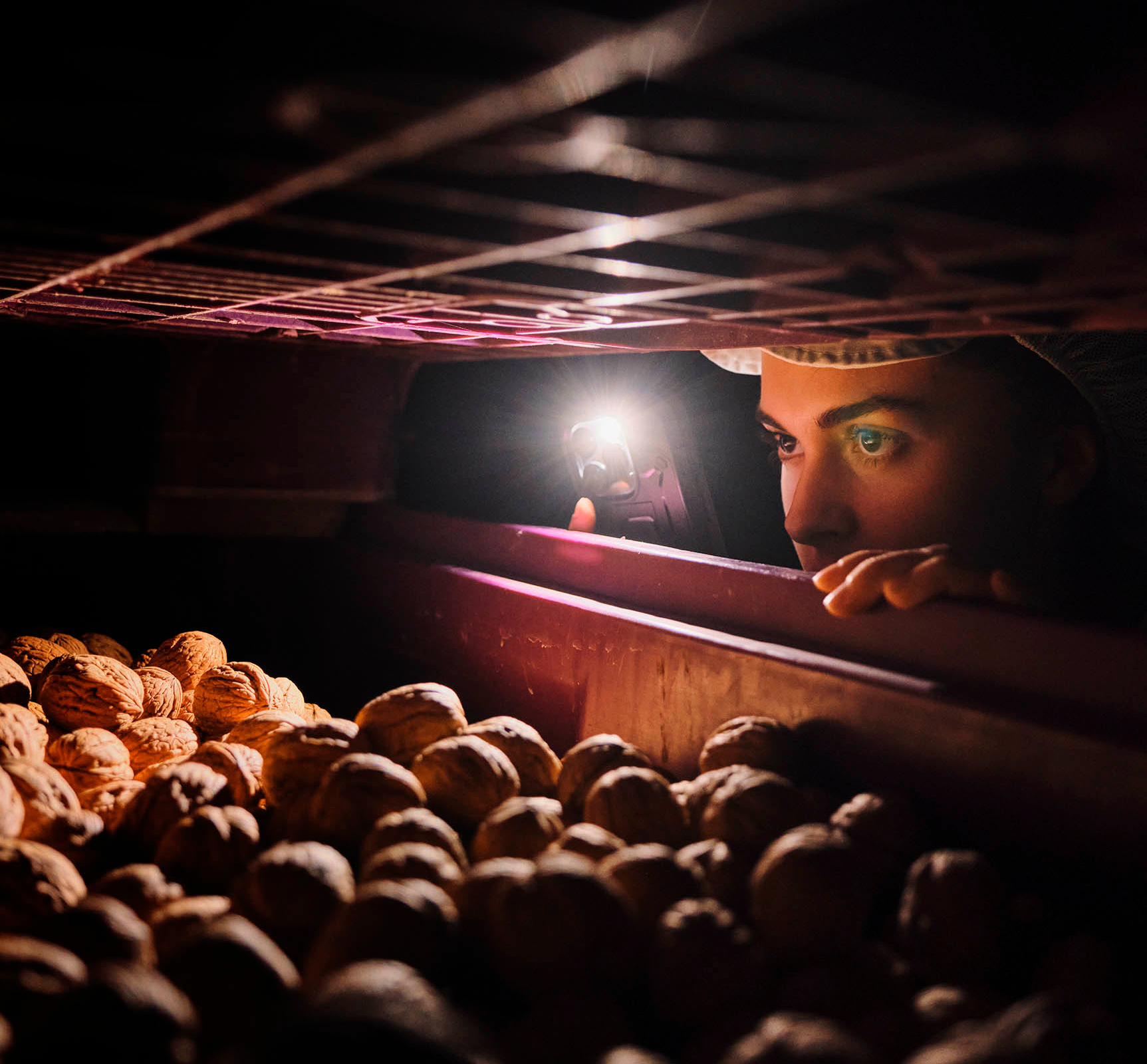 Conversación de la nuez - FLN Conservación de la nuez - FLN